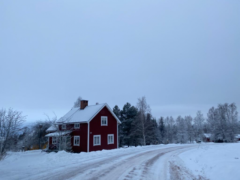 Пять дней зимы в Швеции