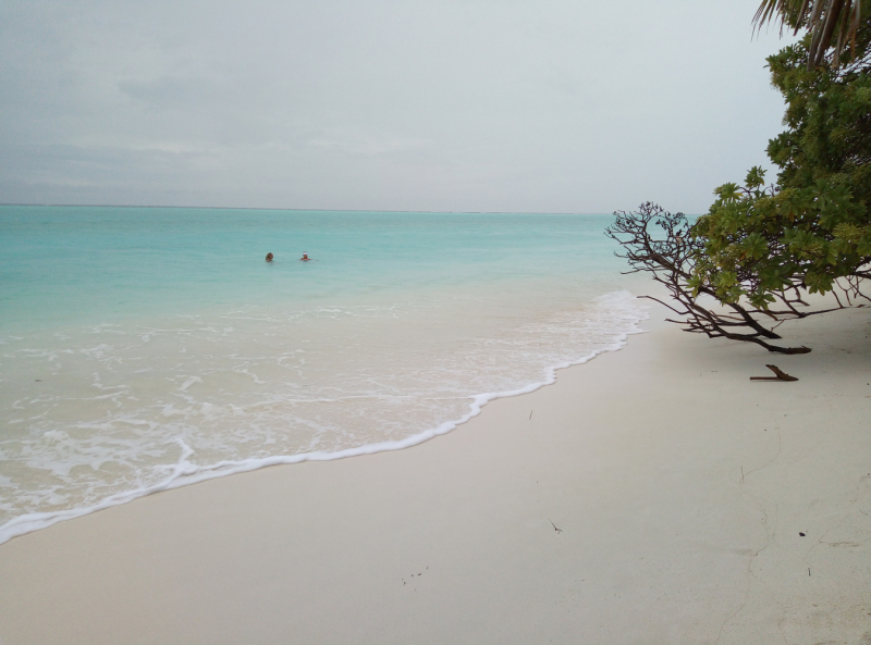И снова все о нем! Тодду. Декабрь 2019
