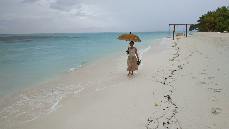 И снова все о нем! Тодду. Декабрь 2019