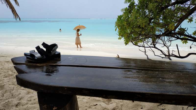 И снова все о нем! Тодду. Декабрь 2019