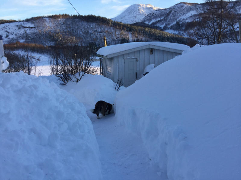Мистер Чукен’с холлидей