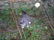 Неоднозначные Аланды зимой, а также небольшой castle-трип