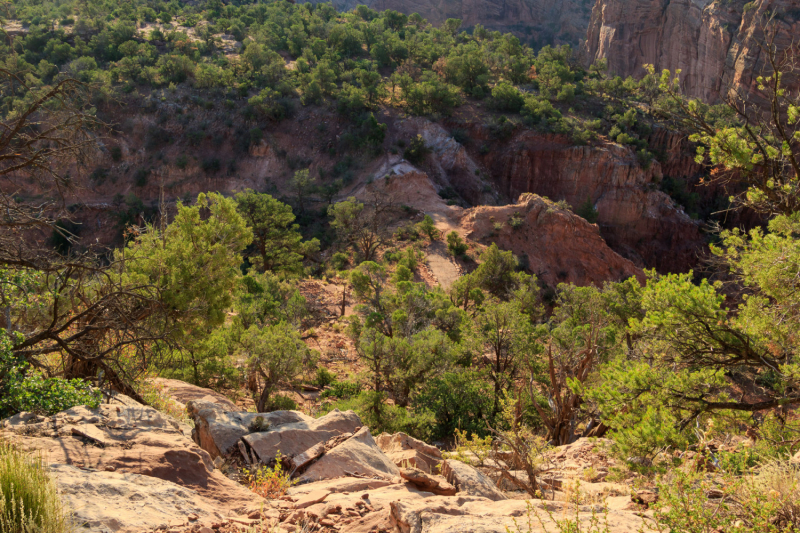 Canyon de Chelly