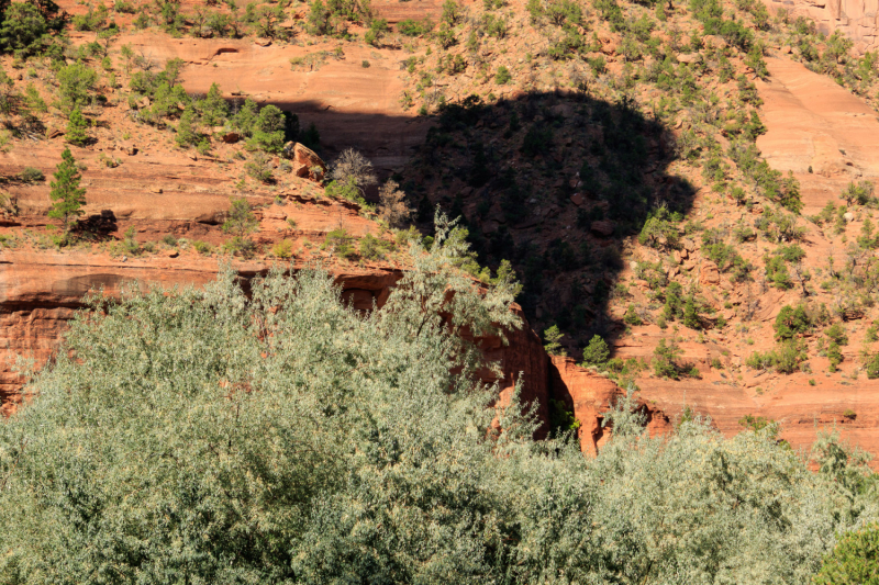 Canyon de Chelly