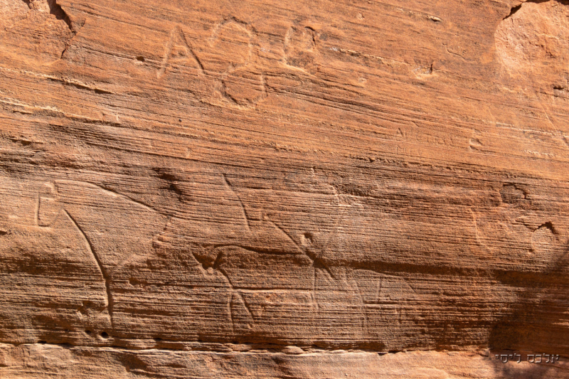 Canyon de Chelly