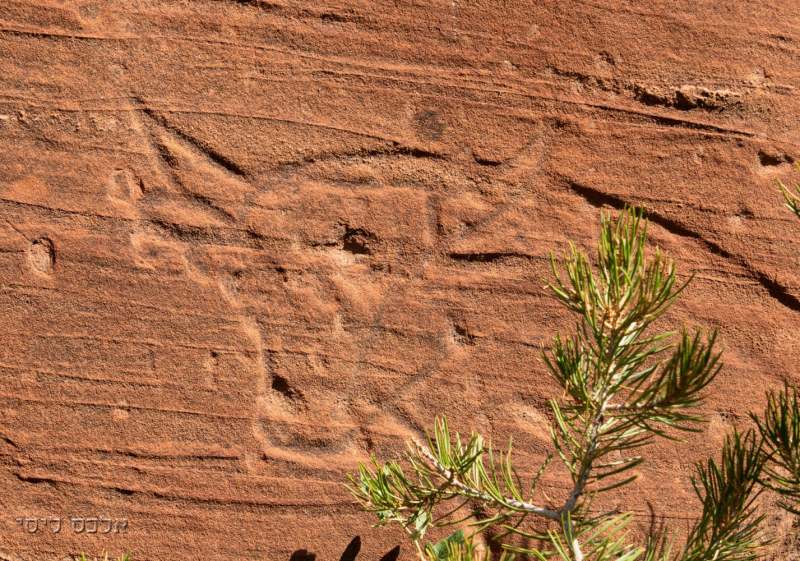 Canyon de Chelly