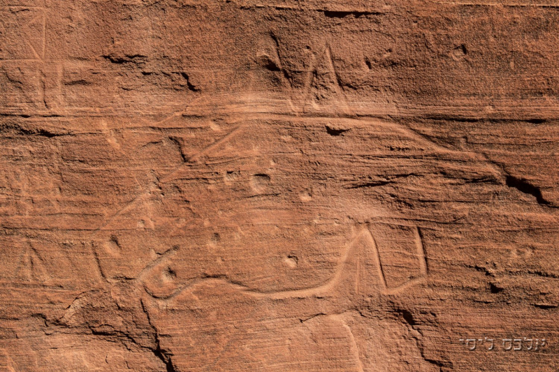 Canyon de Chelly