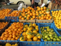 Сочи-Абхазия (Гагра-Новый Афон-Сухум), январь 2012