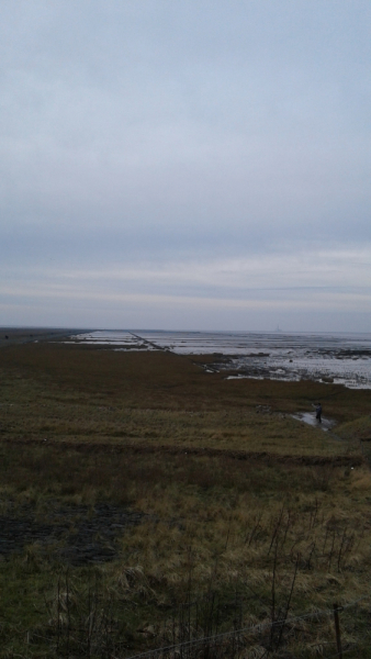 Гамбургское. Море, Оскар и Ольденбурги