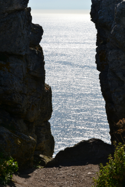 Бретань. Край отливов, солнца и гортензий. Июль 2019