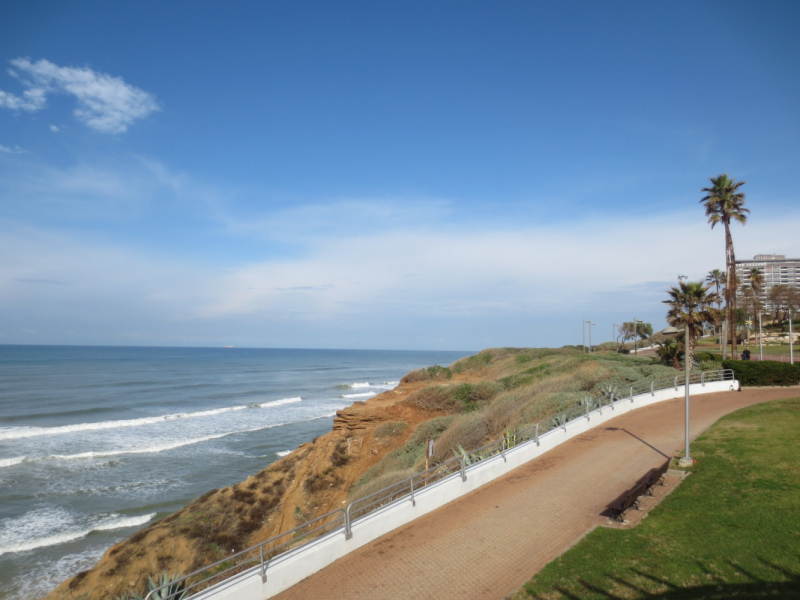 Нетания зима 2020 репатриация