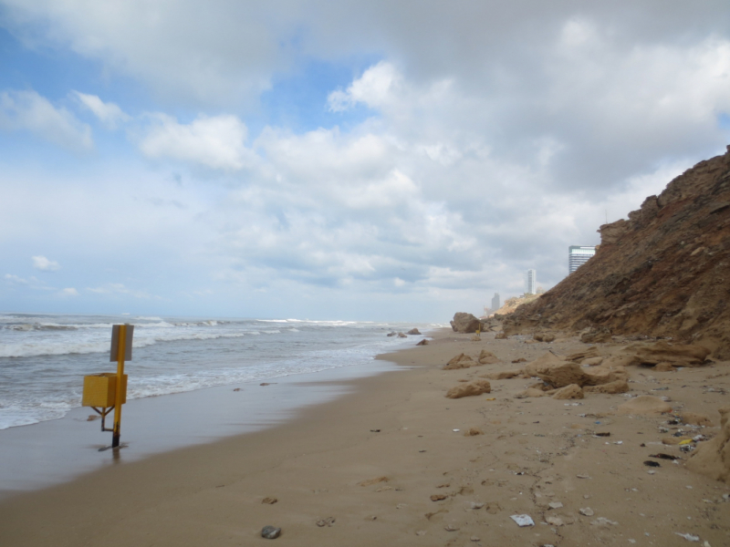 Нетания зима 2020 репатриация