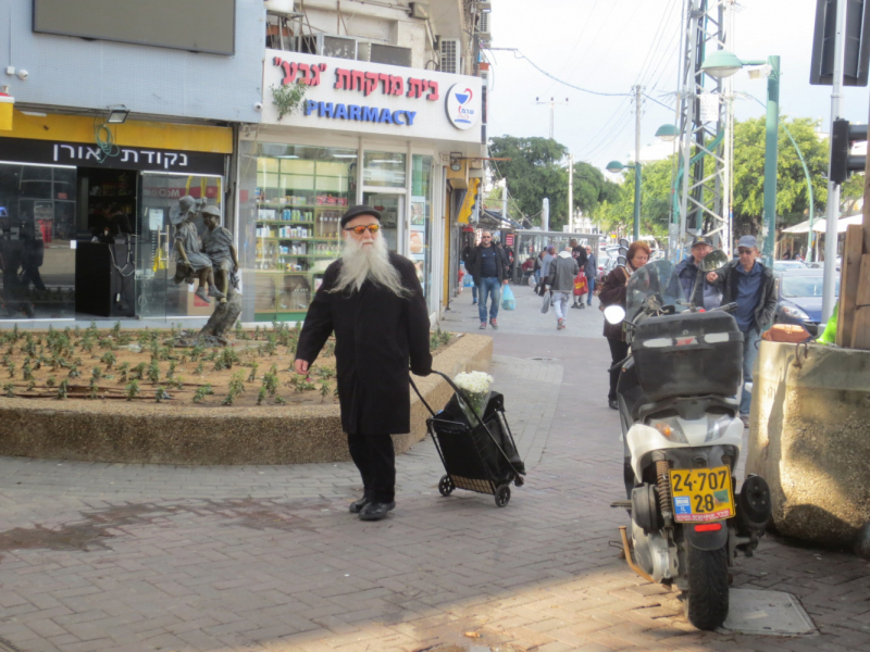 Нетания зима 2020 репатриация