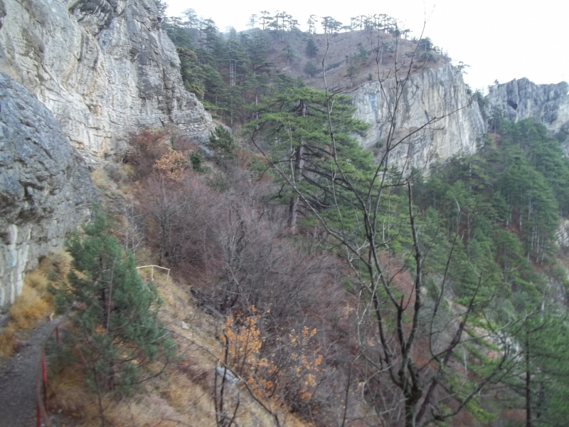 Новый год в Ялте. 2017, 2018, 2019, 2020