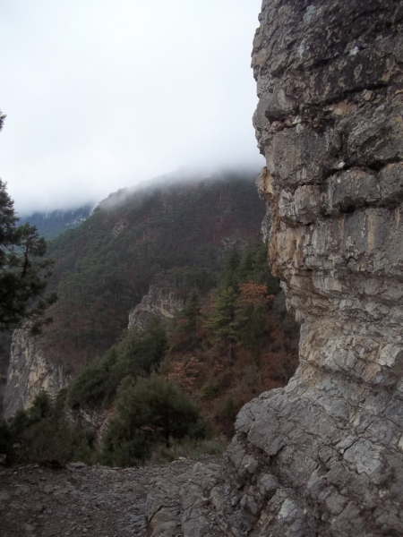 Новый год в Ялте. 2017, 2018, 2019, 2020