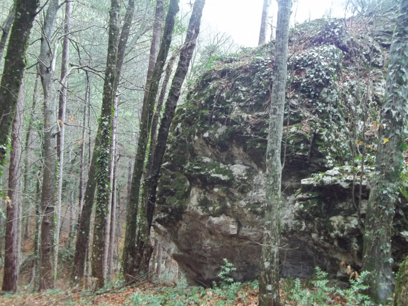 Новый год в Ялте. 2017, 2018, 2019, 2020