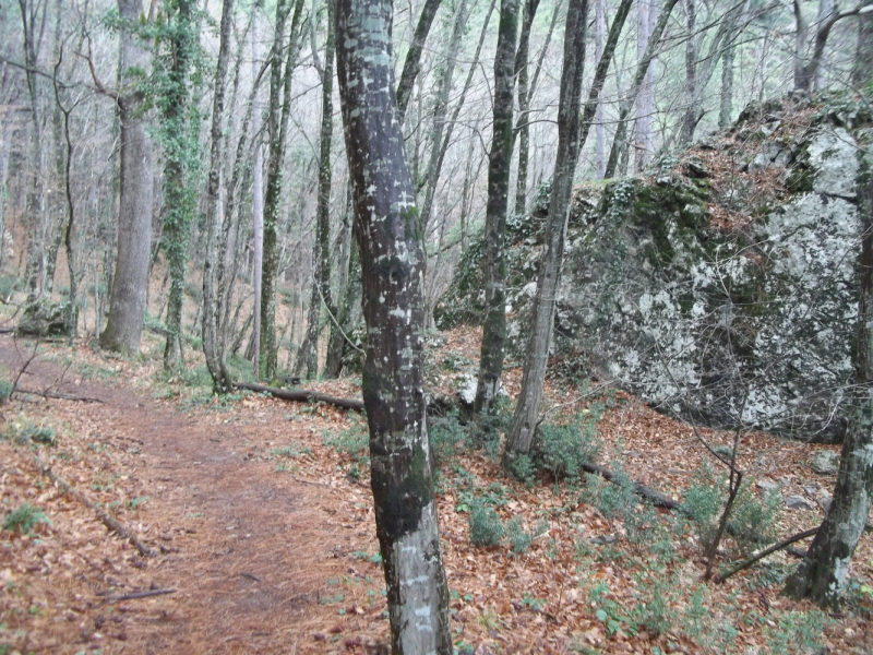 Новый год в Ялте. 2017, 2018, 2019, 2020