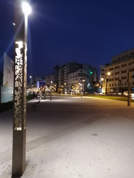 Январь 2020, без машины: Танжер-Асила-Шефшауэн-Фес-Мерзуга-Тингир-Марракеш-Тубкаль-Эссуэйра-Касабланка