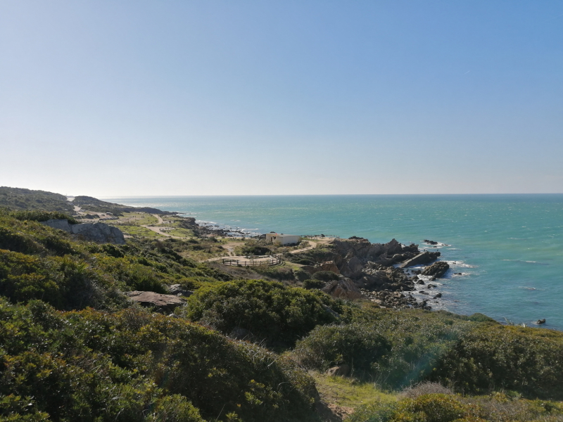 Январь 2020, без машины: Танжер-Асила-Шефшауэн-Фес-Мерзуга-Тингир-Марракеш-Тубкаль-Эссуэйра-Касабланка