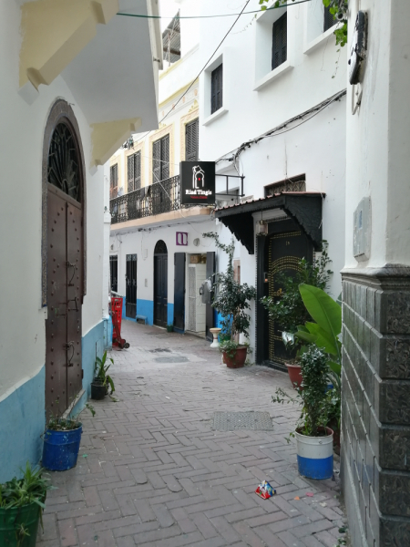 Январь 2020, без машины: Танжер-Асила-Шефшауэн-Фес-Мерзуга-Тингир-Марракеш-Тубкаль-Эссуэйра-Касабланка