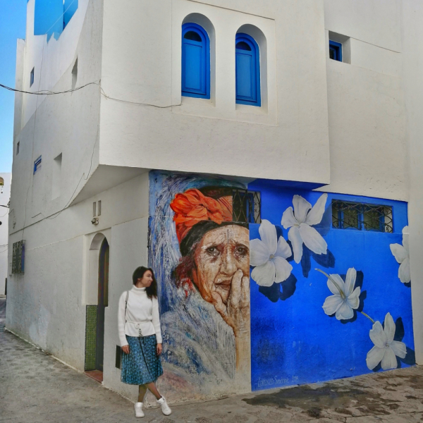 Январь 2020, без машины: Танжер-Асила-Шефшауэн-Фес-Мерзуга-Тингир-Марракеш-Тубкаль-Эссуэйра-Касабланка