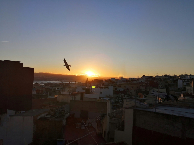 Январь 2020, без машины: Танжер-Асила-Шефшауэн-Фес-Мерзуга-Тингир-Марракеш-Тубкаль-Эссуэйра-Касабланка