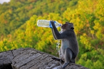 Детские каникулы в сезон дождей