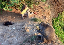 Детские каникулы в сезон дождей