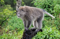 Детские каникулы в сезон дождей