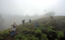 Детские каникулы в сезон дождей