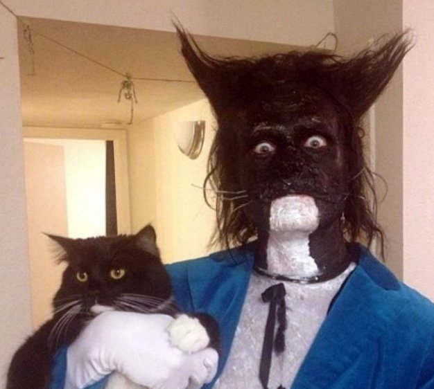 Кошки в нашей жизни. Кошки и все, что с ними связано.