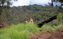 Детские каникулы в сезон дождей