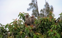 Детские каникулы в сезон дождей