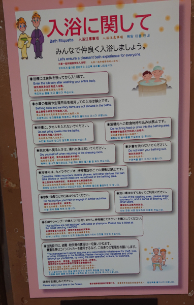 По Японии с маленькими детьми. Детали и особенности: транспорт, отели, достопримечательности, еда