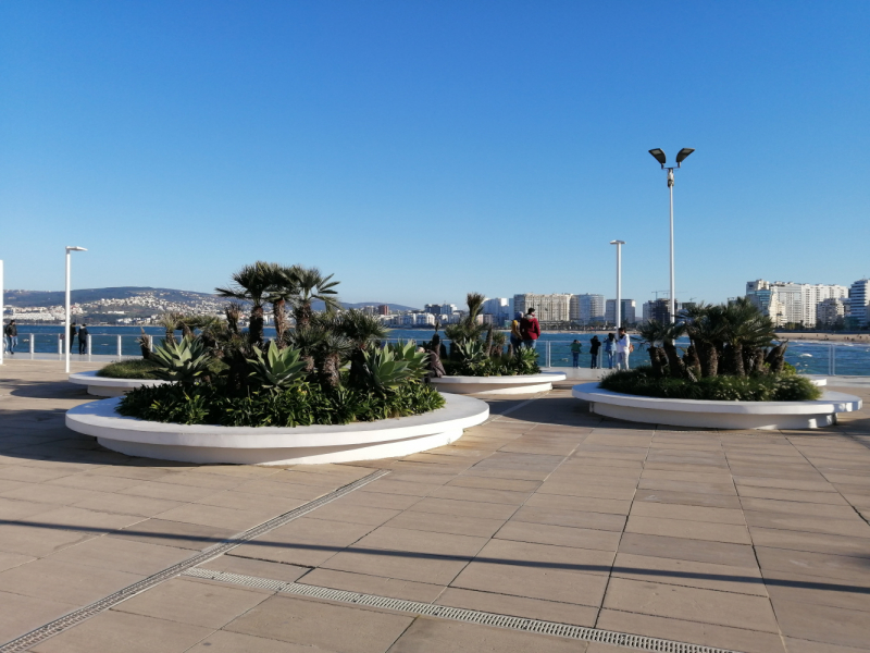 Январь 2020, без машины: Танжер-Асила-Шефшауэн-Фес-Мерзуга-Тингир-Марракеш-Тубкаль-Эссуэйра-Касабланка