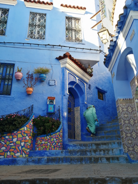 Январь 2020, без машины: Танжер-Асила-Шефшауэн-Фес-Мерзуга-Тингир-Марракеш-Тубкаль-Эссуэйра-Касабланка