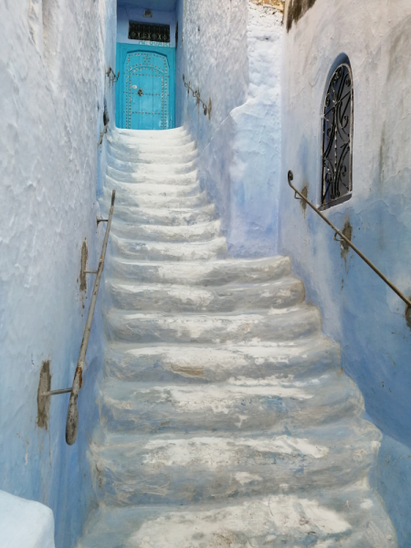 Январь 2020, без машины: Танжер-Асила-Шефшауэн-Фес-Мерзуга-Тингир-Марракеш-Тубкаль-Эссуэйра-Касабланка