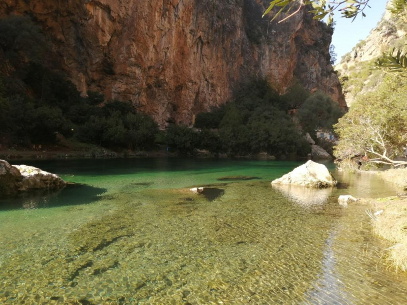 Январь 2020, без машины: Танжер-Асила-Шефшауэн-Фес-Мерзуга-Тингир-Марракеш-Тубкаль-Эссуэйра-Касабланка