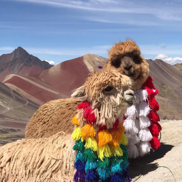 Перу и Боливия. Осень 2019.