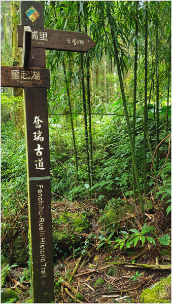 Тайвань Алишань