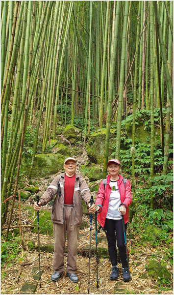 Тайвань Алишань