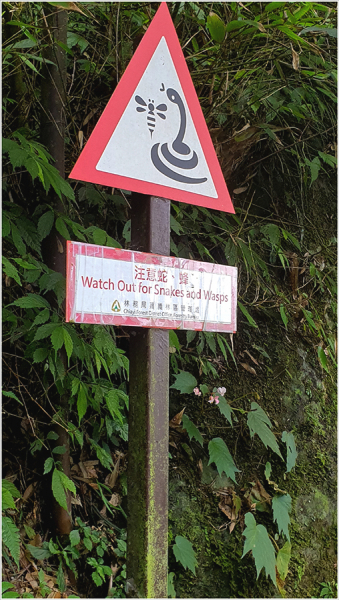 Тайвань Алишань