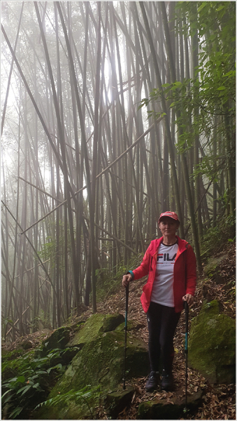 Тайвань Алишань