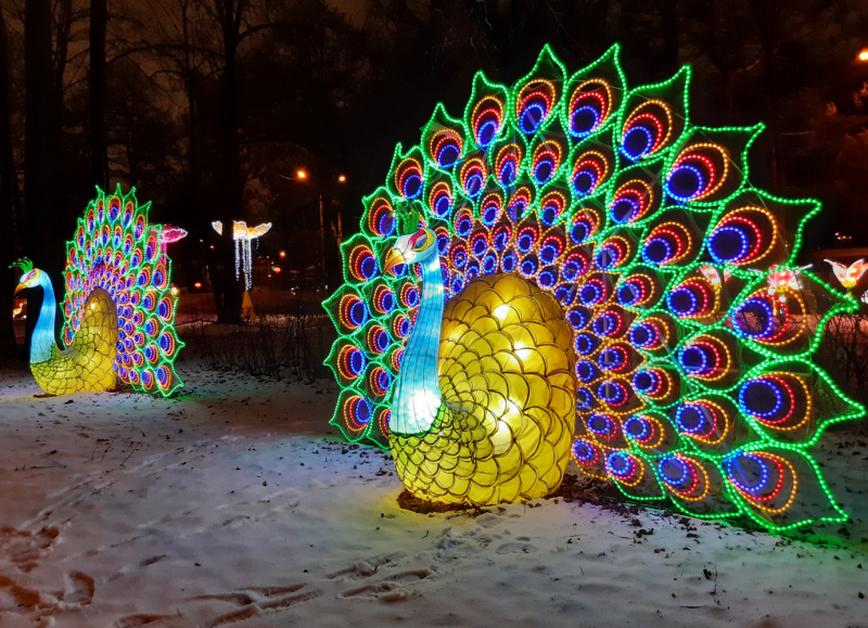 Фестиваль "Волшебных китайских фонарей" в Москве