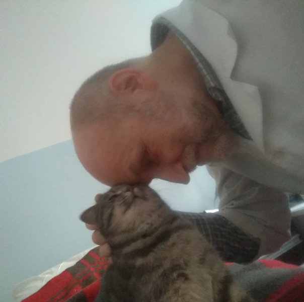 Кошки в нашей жизни. Кошки и все, что с ними связано.