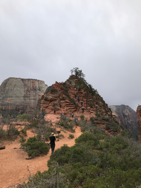Zion NP
