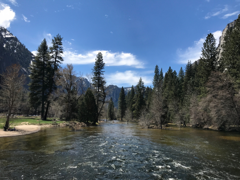 Yosemite NP