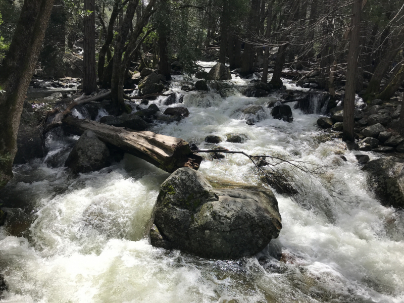Yosemite NP