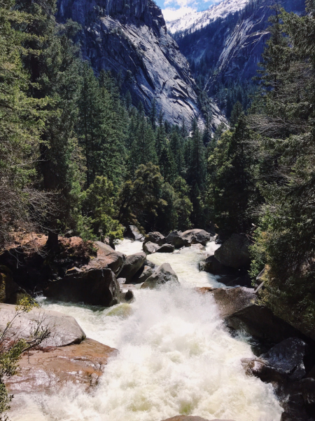 Yosemite NP