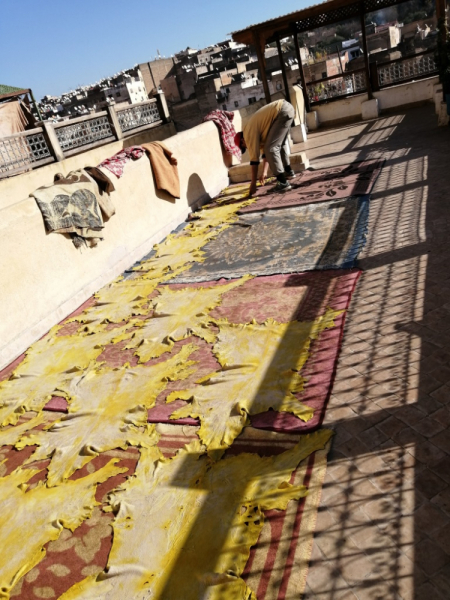 Январь 2020, без машины: Танжер-Асила-Шефшауэн-Фес-Мерзуга-Тингир-Марракеш-Тубкаль-Эссуэйра-Касабланка